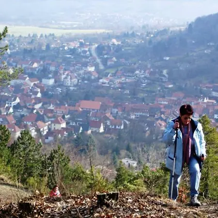 Sud-harz 2 *